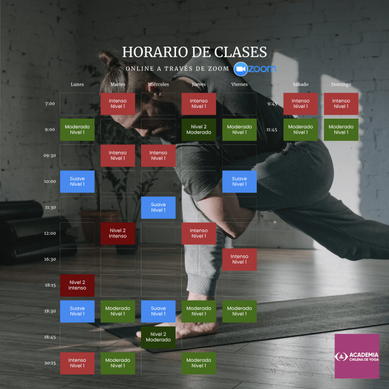 Horario Virtual